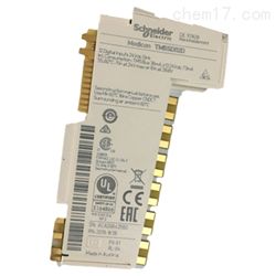 TM5SAI6TH2点模拟量输入模块TM5SAI2TH供应